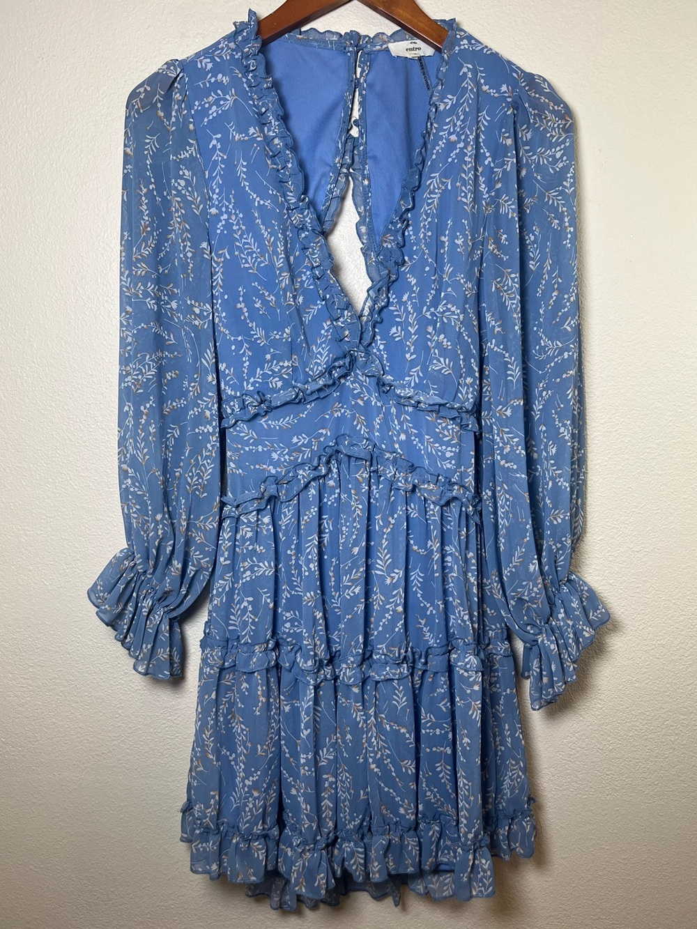 entro Blue Boho Croquette Floral Ruffle Long-Sleeve Mini Dress